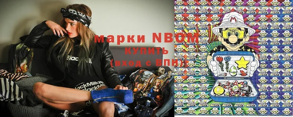 дживик Баксан